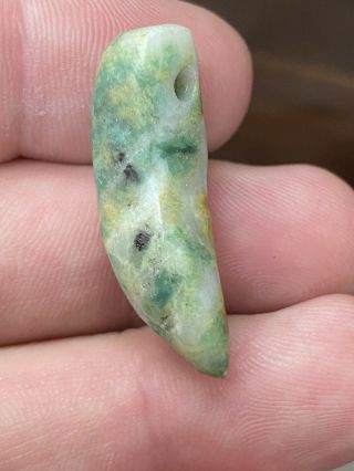 Rare Drilled Pre Columbian Jade Jaguar Tooth Effigy Bead Mexico Stone Jadeite