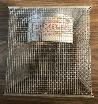 Vintage Kleer Vue Cricket Box Fishing Bait 7x6x6