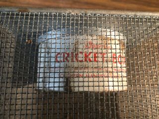 Vintage Kleer Vue Cricket Box Fishing Bait 7x6x6 2