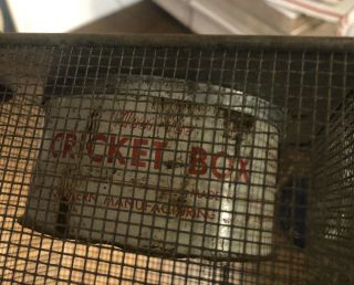 Vintage Kleer Vue Cricket Box Fishing Bait 7x6x6 3