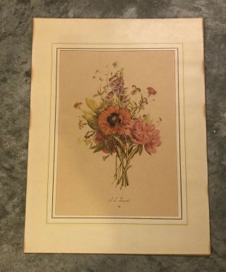 Two Vintage J.  L.  Prevost Botanical Floral Prints 2