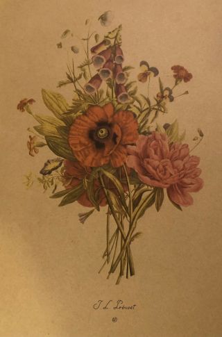 Two Vintage J.  L.  Prevost Botanical Floral Prints 3