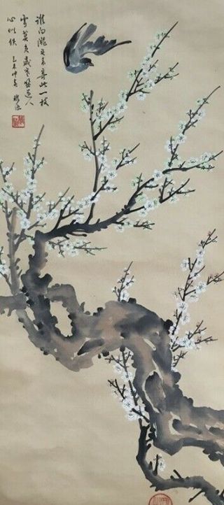 Japanese Hanging Scroll Kakejiku Plum Tree Bird Hand Paint Silk Antique Z281