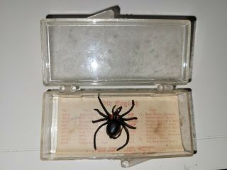 Old Doug English Fishing Lure Box And Paperwork Christi Texas Spider