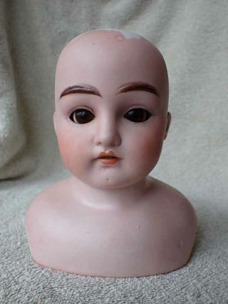 Antique German Darling Bisque Doll Head 6 "