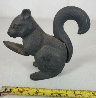 Antique Vintage 1900 ' s Cast Iron Squirrel Nut Cracker Tail Lever 4.  5 