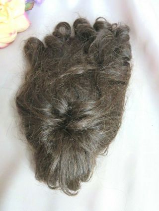 ANTIQUE vintage Doll WIG brunette HUMAN HAIR long RINGLETS bangs 11 1/2 