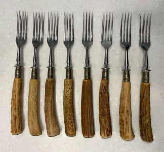 Vintage Zwilling J.  A.  Henckels Deer Stag Horn Forks Set Of 8 - Rare - Germany