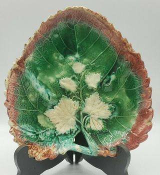 Antique Majolica Plate Grape Leaf Pattern 8 X 7 1/2 "