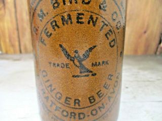 Antique Ca.  1890 R.  M.  Bird & Co.  Fermented Ginger Beer Bottle Stratford - On - Avon