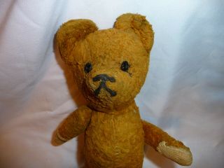 Early Antique 12 " Steiff Teddy Bear W/ Growl Button In Back
