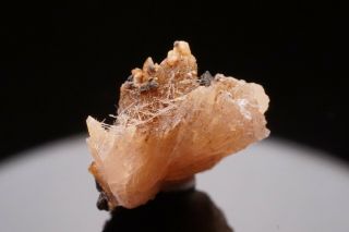 Rare Larsenite & Clinohedrite Crystal Cluster Franklin,  Nj - Ex.  Lemanski
