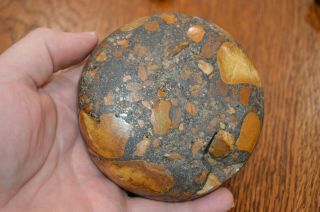 Rare Mississippian Conglomerate Biscuit Discoidal St.  Francois Co,  Ark 3.  5 X 1.  5