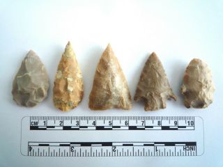 5 X Native American Arrowheads Found In Texas,  Dating From Approx 1000bc (2212)