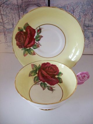RARE DOUBLE WARRANT PARAGON RED CABBAGE ROSE FLOWER HANDLE CUP & SAUCER 2