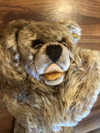 Vintage 1960s German Steiff Mohair Sleeping Floppy Zotty Teddy Bear