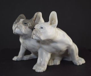 Rare Royal Copenhagen Pair French Bulldogs Large Porcelain Figurine