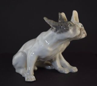 Rare Royal Copenhagen Pair French Bulldogs Large Porcelain Figurine 3