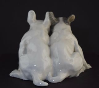 Rare Royal Copenhagen Pair French Bulldogs Large Porcelain Figurine 4