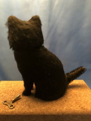 VINTAGE Rare 1930 ' s SCHUCO Tin Wind - up BLACK CAT PURRING Toy HALLOWEEN 3