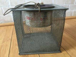 Vintage Kleer Vue Cricket Box Fishing Bait 6x6x6 2