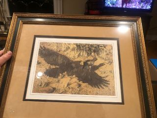 Bev Doolittle 1978 Rare Signed Lithograph Eagle Shadow Over A Rabbit/hair Framed