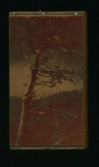 Letterpress Printing Press Wood Block Copper Stamp Photo Plate Negative Tree Vtg