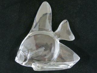 Rare And Large Steuben Crystal Angel Fish Figurine - 10.  5 " Tall