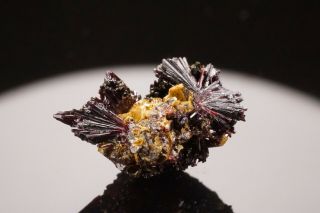 Rare Carminite & Beudantite Crystal Tsumeb,  Namibia - Ex.  Pinch