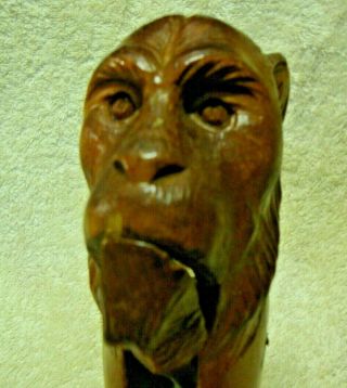Antique Hand Carved Nutcracker In The Form Of A Monkeys Head