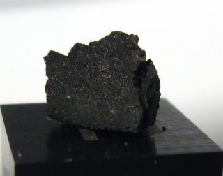 Meteorite Aguas Zarcas,  Cm2,  2019 Fall,  Rare,  Pre - Rain,  Crusted