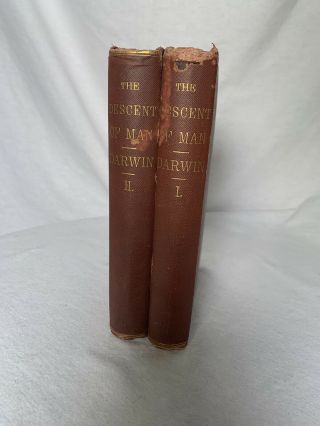 “The Descent Of Man” by Charles Darwin.  First American Edition,  1871 print,  RARE 3