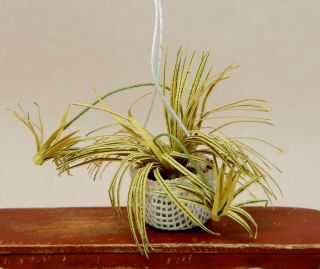 Vintage Hanging Spider Plant Artisan Dollhouse Miniature 1:12