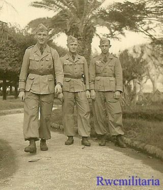 Rare Trio Luftwaffe Afrika Korps Troops W/ H.  G.  Division Cuff Titles Worn
