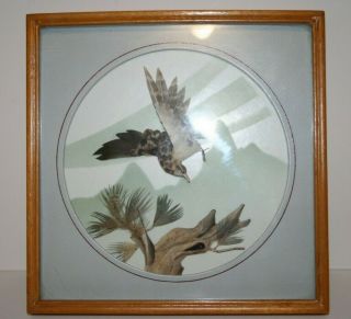 Vintage 3d Feather Art Bird & Tree Shadow Box Framed