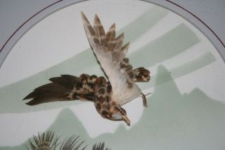 Vintage 3D Feather Art Bird & Tree Shadow Box Framed 3