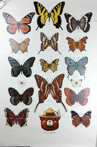 Vintage Smokey The Bear Butterflies Poster Us Dept Of Ag Forest Service 20 X 30