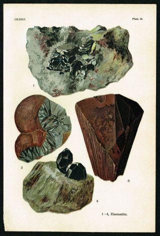 1911 Oxides,  Haematite,  Geology Rocks & Minerals,  Antique Print - L.  J Spencer