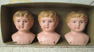 Antique Minerva Tin Doll Heads Old Store Stock Made In Germany