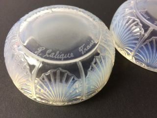 Pair Vintage Crystal Lalique COQUILLES Art Deco France Seashell Rare Open Salts 5