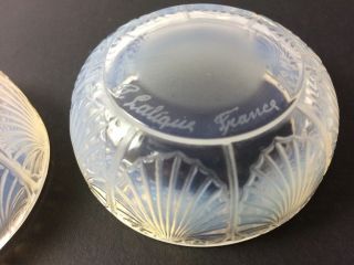 Pair Vintage Crystal Lalique COQUILLES Art Deco France Seashell Rare Open Salts 6