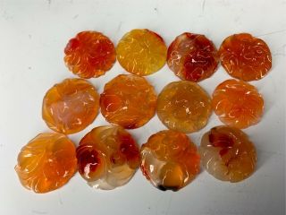 Group Of Twelve Carved Chinese Qing Carnelian Antique Flower Bottom