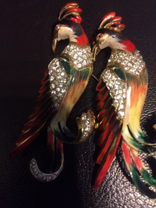 RARE 1942 Adolf Katz Coro Craft Sterling Jay Birds Duet Fur Clips/Conversion Pin 2