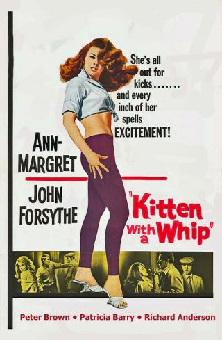 Kitten With A Whip (rare 1964 Dvd) Ann - Margret John Forsythe