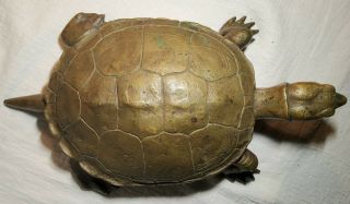 Rare Antique Heavy Brass Turtle Sculpture? Weighs Over 7 Lbs.  Intricate Design