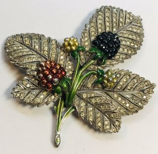 Large Rare Signed Pennino Rhodium Enameled Pave Leaf With Fruits Pin