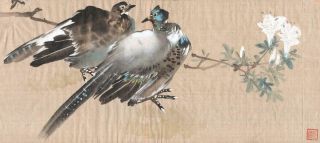 Antique Chinese Watercolour Painting On Silk Signed Pigeons