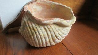 Vintage Ozark Roadside Tourist Pottery Rare Small Seashell Vase