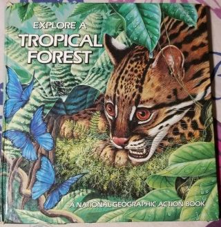Rare Explore A Tropical Forest Pop - Up Book A National Geographic Action Book