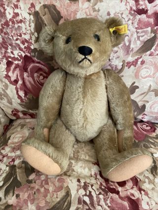 Vintage Steiff Teddy Bear W.  Germany 0155/42 16 " Tag In Ear